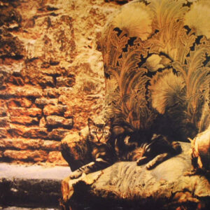 Vinyl / Neuf House Electro Minimal Reggae Techno Hardtechno Trance - Fame-House FH 03 Myrmidons Catroad 12"