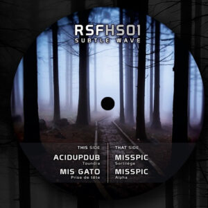 Vinyl / Neuf Hardtek Tribe Freetekno Techno Hardtechno Trance - RSF RSFHS01 Subtle Wave Various 12"