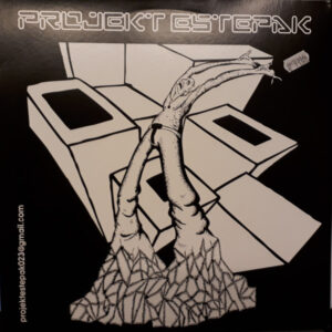 Vinyl / Neuf Hardcore Hardtek Tribe Freetekno Techno Hardtechno Trance - Projekt Estepak PROJEKTESTEPAK01 Pandemia Sonore