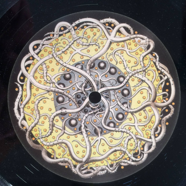 Vinyl / Neuf - Hypnotik 14 Jaquarius (2) 12", Ltd