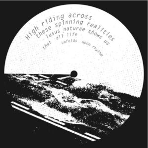Vinyl / Neuf Break Dub Hardcore Techno Hardtechno Trance - Subsonic (4) 003 Dr. Walker vs Omsk Information Saint Tetik