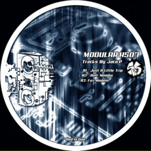 Vinyl / Neuf Hardtek Tribe Freetekno - Modular HS07 Jaco P 12"