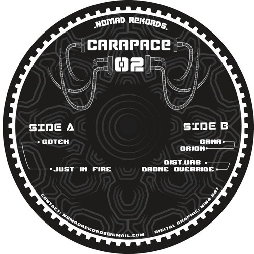 Vinyl / Neuf Hardtek Tribe Freetekno - Carapace (2) 02 Various 12"
