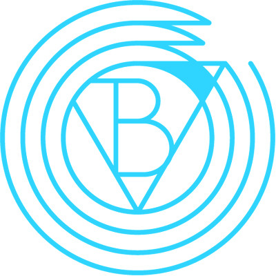 VinylBleu.fr