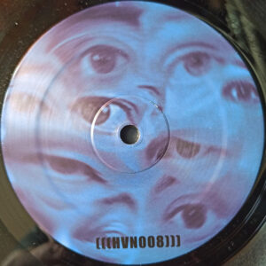 Vinyl / Neuf Hardcore Techno Hardtechno Trance - Haven (5) HVN008 Puerile Politics Keepsakes (2) 12", EP