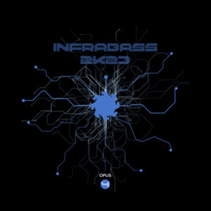 Vinyl / Neuf Hardtek Tribe Freetekno - Infrabass IB2K23O4 Opus 04 David Green 12"