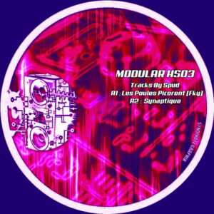 Vinyl / Neuf Hardtek Tribe Freetekno - Modular HS03 Spud & FKY 12"