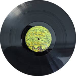 Neuf / Techno, Hard Techno & Trance Vinyl Hardtek, Tribe et Freetekno House Electro Minimal - TARGET 00