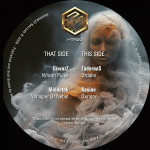 Vinyl Hardtek, Tribe et Freetekno - Hashtek23 23