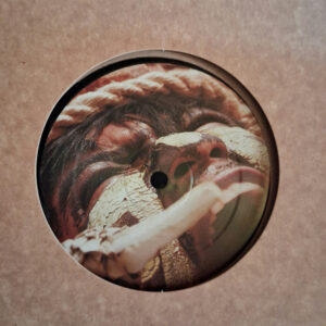 Vinyl Hardtek, Tribe et Freetekno - Cult Collective 49